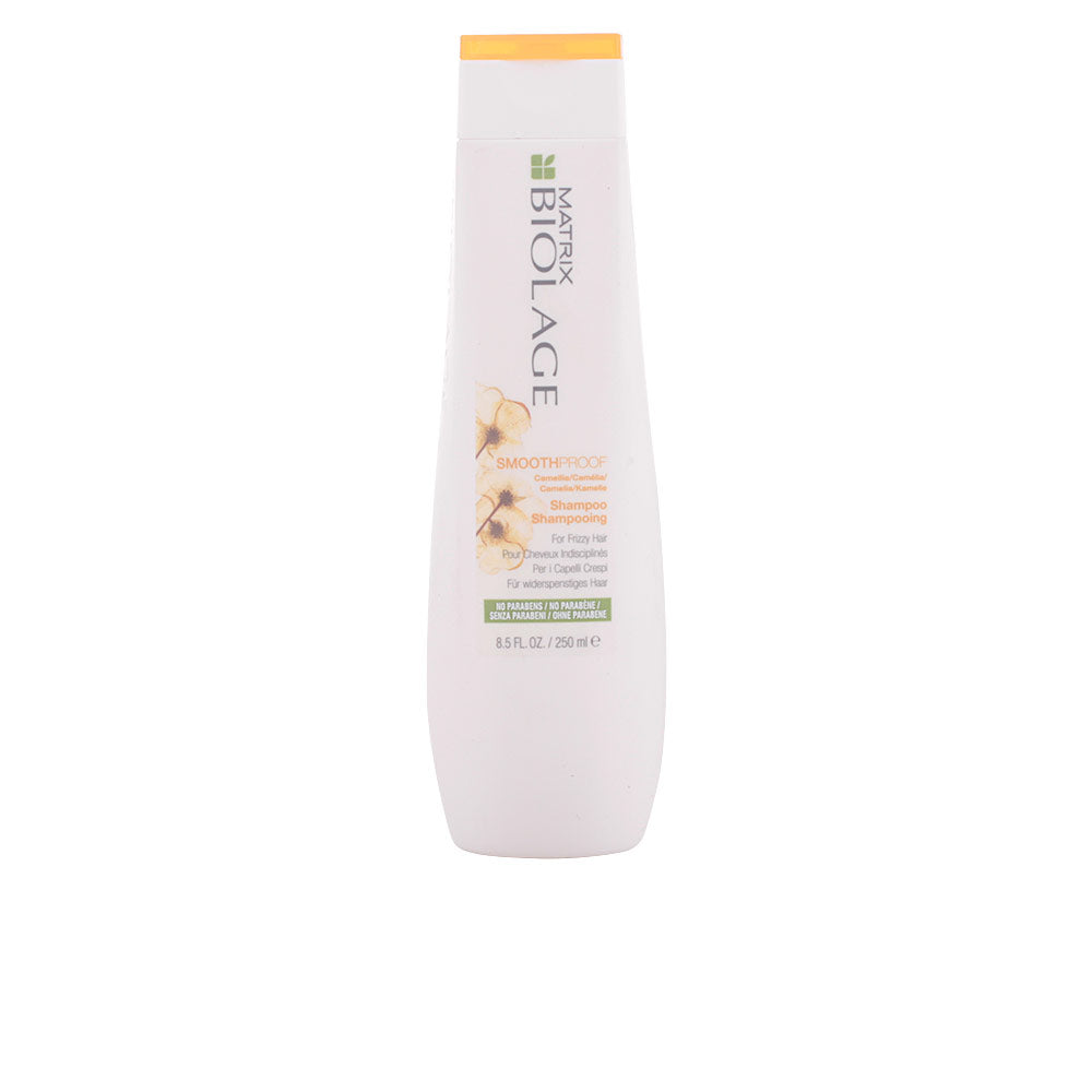Shampooing lissant anti-frisottis
